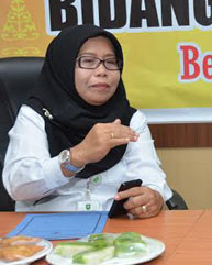 DLH Taja Pelatihan Sistem Informasi dan Pengelolaan Lingkungan